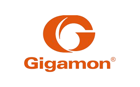 gigamon
